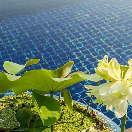 Villa Alpha - Seaview Private Villa Choeng Mon Eksteriør billede